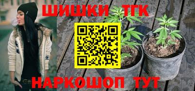 дмт Обь