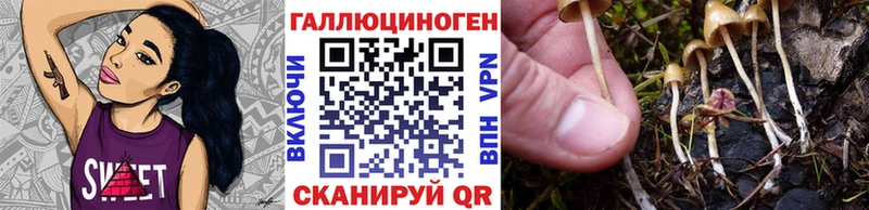 Галлюциногенные грибы Psilocybine cubensis  Кинешма 