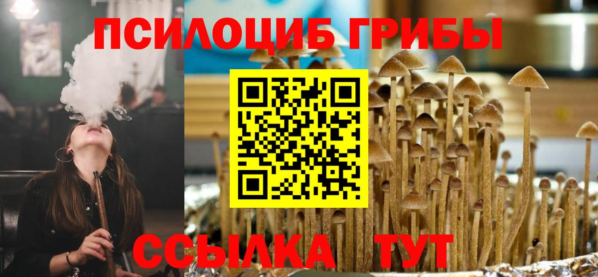 Кинешма  Псилоцибиновые грибы Cubensis  Вход с VPN  Галлюциногенные грибы прущие грибы 