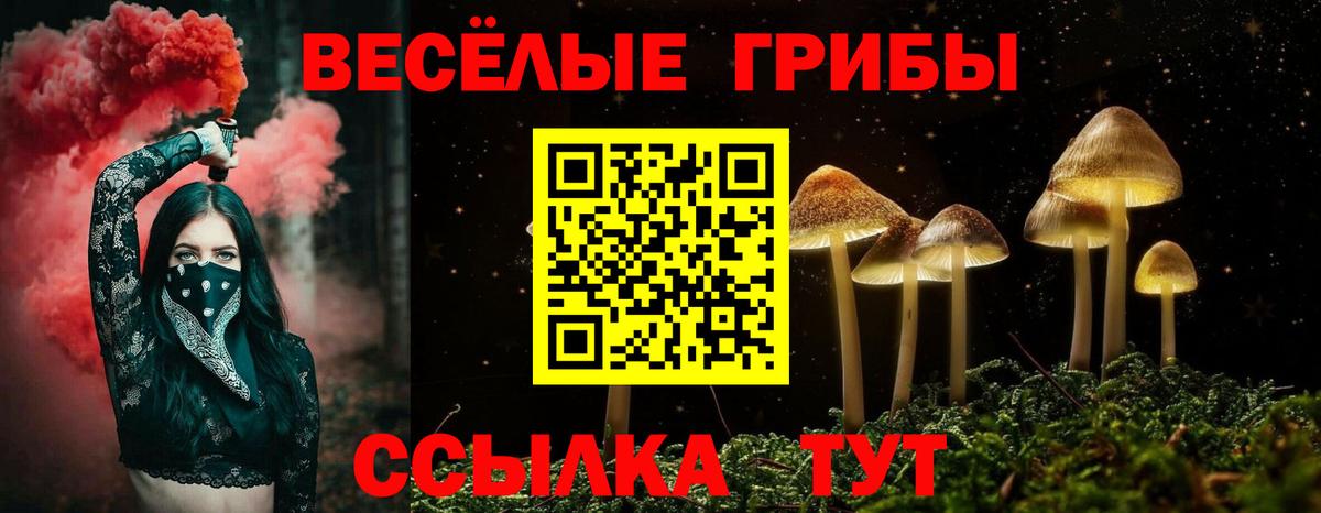 Псилоцибиновые грибы Psilocybe Кинешма
