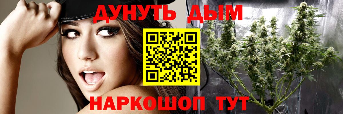 МАРИХУАНА план  Шишки марихуана AK-47  Вход с VPN  Конопля конопля  Канабис SATIVA & INDICA  Кинешма 